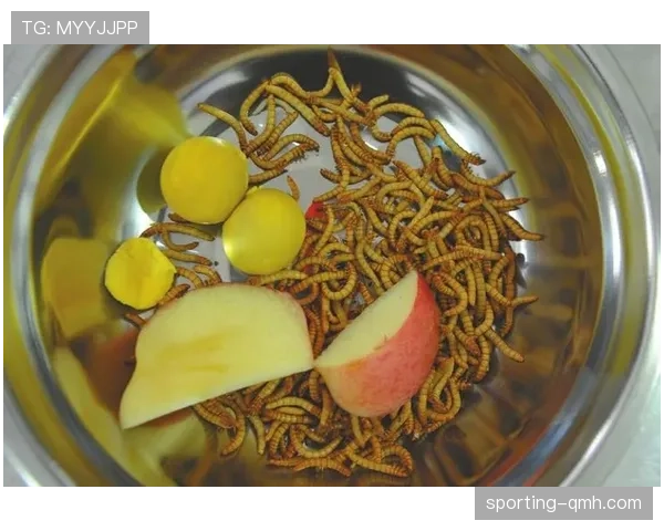 陆光祖每天吃八顿饭还瘦成闪电,这代谢是真实存在的吗 陆光祖每天吃八顿饭还瘦成闪电,这代谢是真实存在的吗
